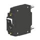 Carling Technologies C21-B0-24-610-41A-E