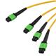 L-Com MPF24308SMR-5