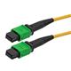 L-Com MPFF24SMBZ-5