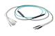 Pasternack PE3FCA295-10M