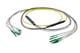 Pasternack PE3FCA384-30M