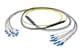 Pasternack PE3FCA455-30M
