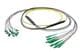 Pasternack PE3FCA458-30M