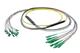 Pasternack PE3FCA460-30M