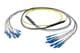 Pasternack PE3FCA465-30M
