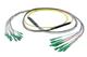 Pasternack PE3FCA466-30M