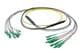 Pasternack PE3FCA468-30M