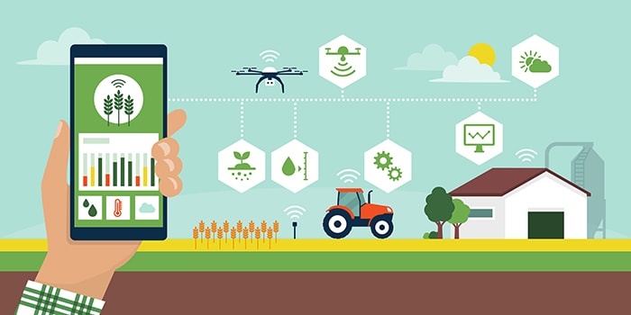 Farmer managing his industrial farm using an app on his smartphone, smart agriculture vector infographic with icons