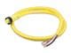 Molex 1300061160