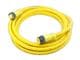 Molex 1300100499