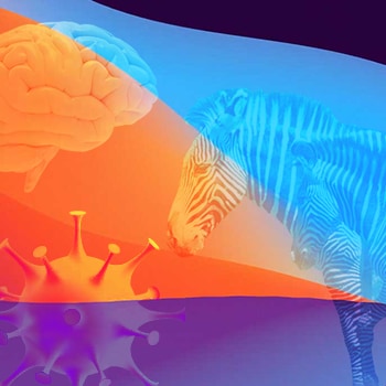 Mouser Electronics' New Intelligent Revolution Series Explores Cutting-Edge Applications in Artificial Intelligence