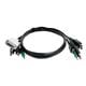 StarTech SKDVI2HDDP06MMKVM06T